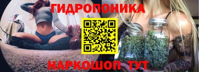 мяу мяу мука Ипатово