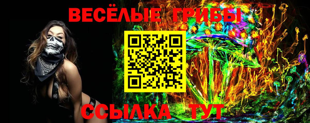 Псилоцибиновые грибы Psilocybe Ликино-Дулёво